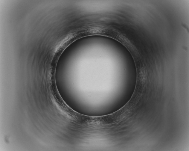 X0000102820730200808251110