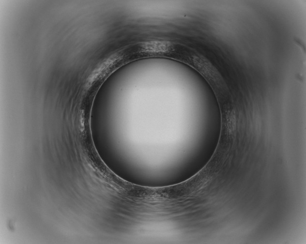 X0000102820731200808251110