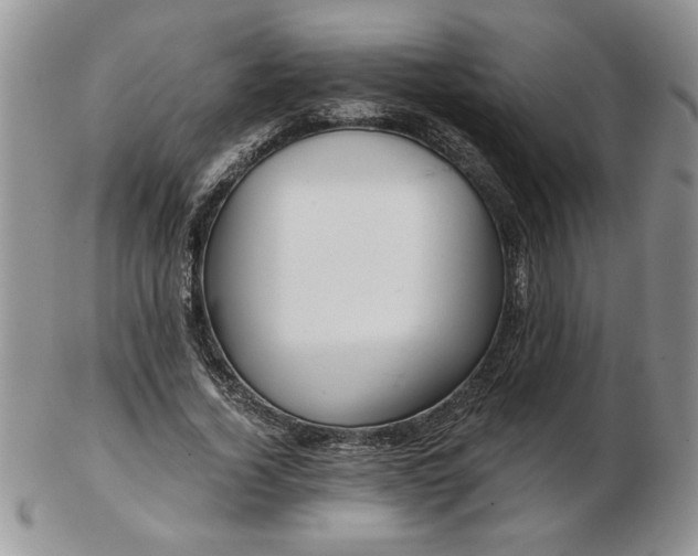 X0000102820732200808251110