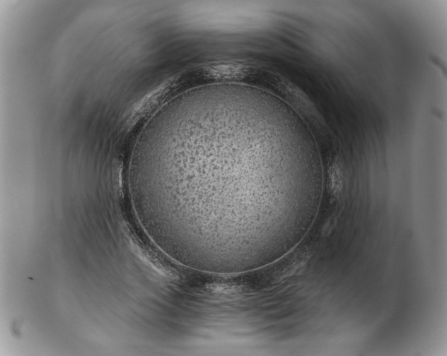 X0000102820733200808251110