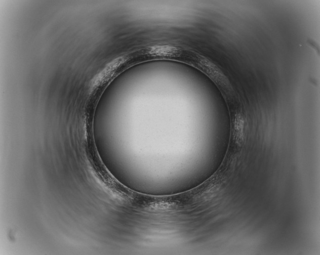 X0000102820734200808251110
