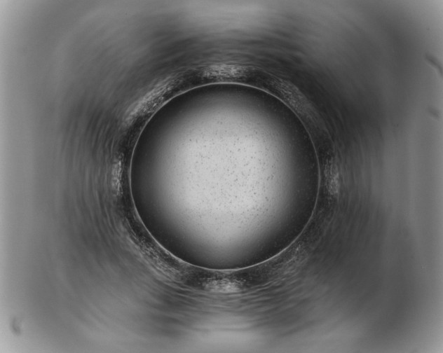 X0000102820735200808251110