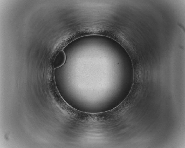 X0000102820736200808251110