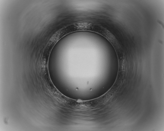 X0000102820737200808251110
