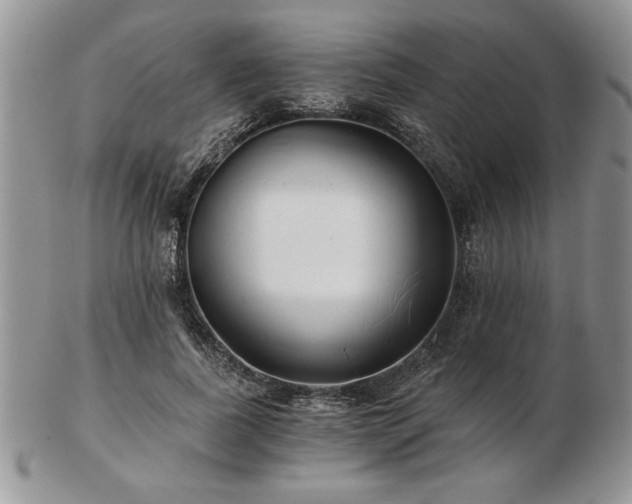 X0000102820739200808251110
