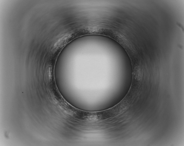 X0000102820740200808251110