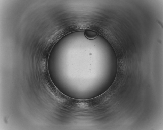 X0000102820741200808251110