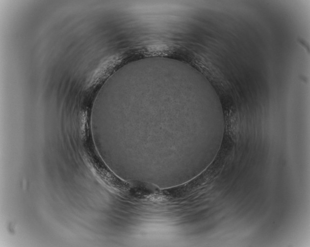 X0000102820742200808251110