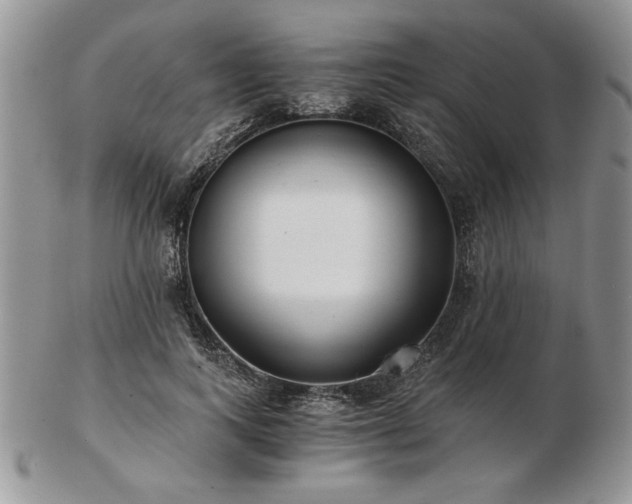 X0000102820743200808251110