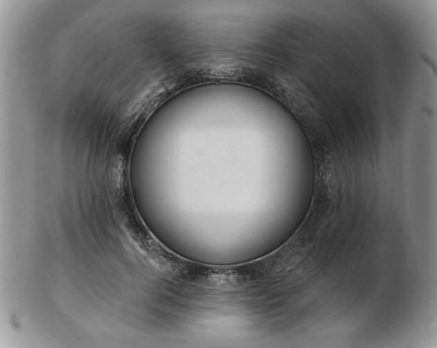 X0000102820744200808251110