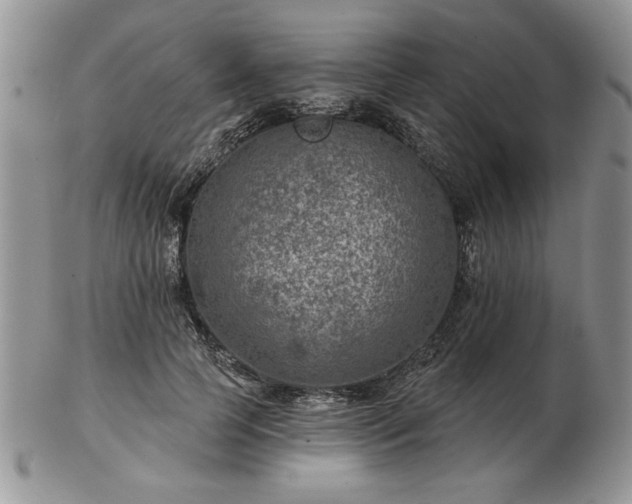 X0000102820745200808251110