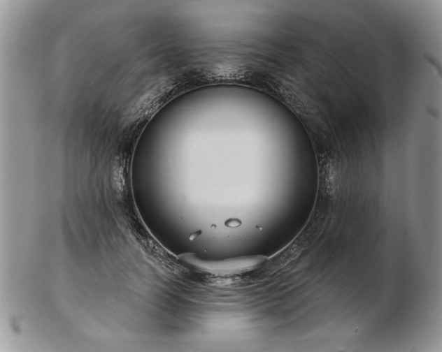X0000102820746200808251110