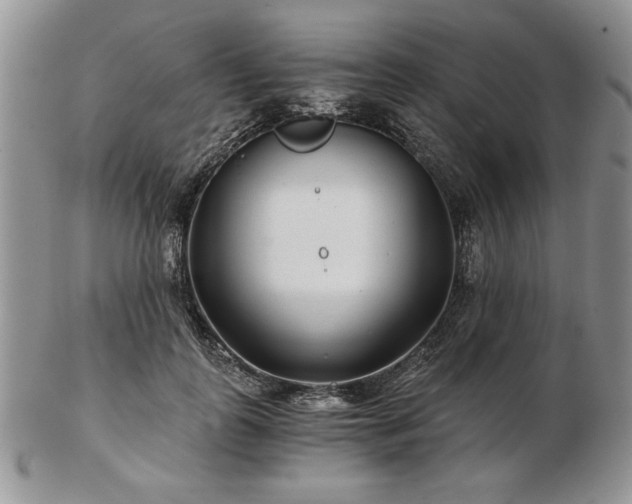 X0000102820747200808251110