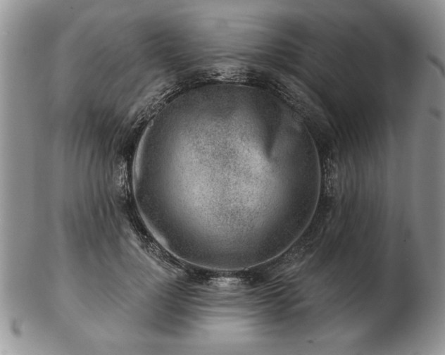 X0000102820748200808251110
