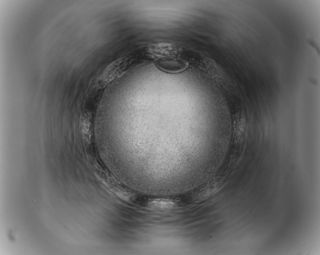 X0000102820749200808251110