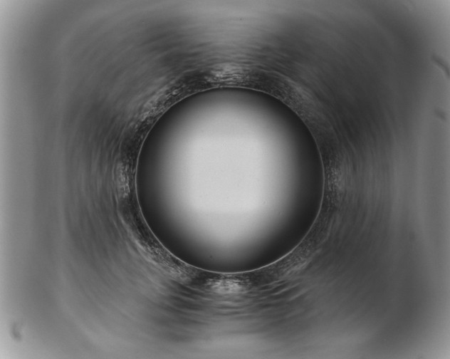 X0000102820751200808251110