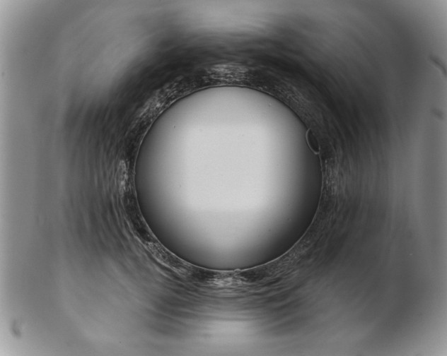 X0000102820752200808251110