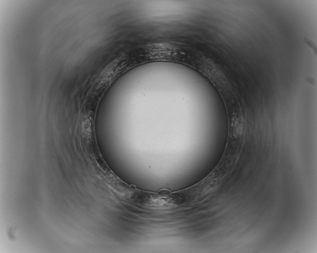 X0000102820753200808251110