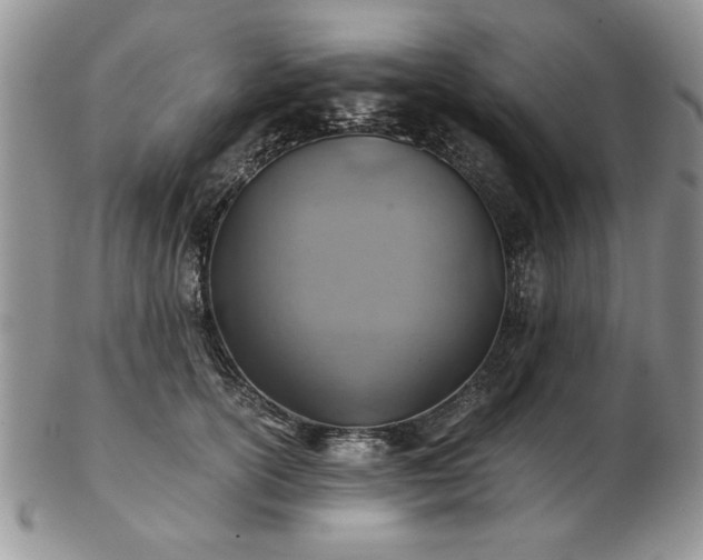 X0000102820754200808251110