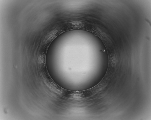 X0000102820756200808251110