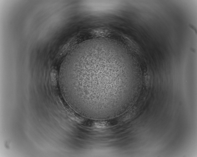 X0000102820757200808251110