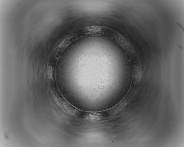 X0000102820758200808251110
