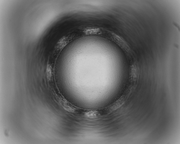 X0000102820761200808251111