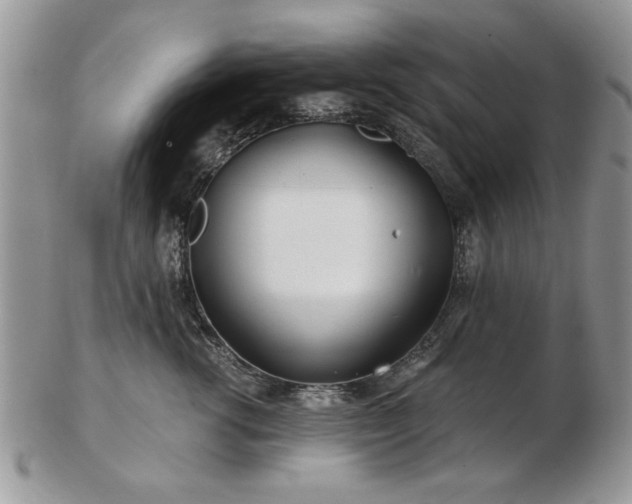 X0000102820762200808251111