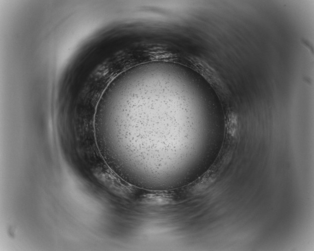 X0000102820763200808251111