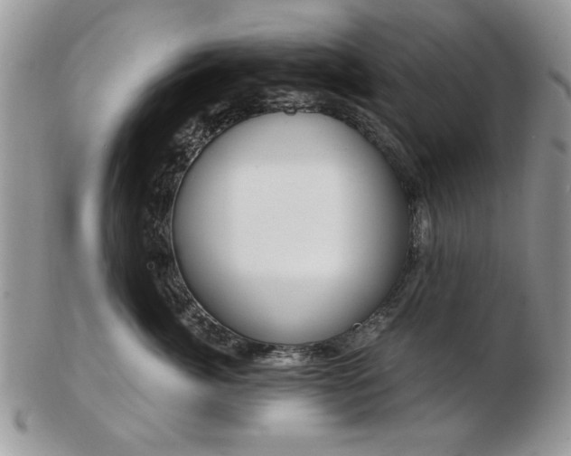X0000102820764200808251111