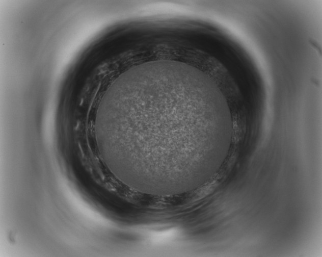 X0000102820765200808251111