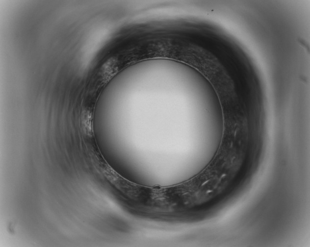 X0000102820766200808251111