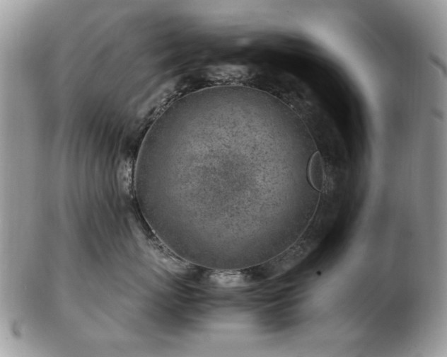 X0000102820767200808251111