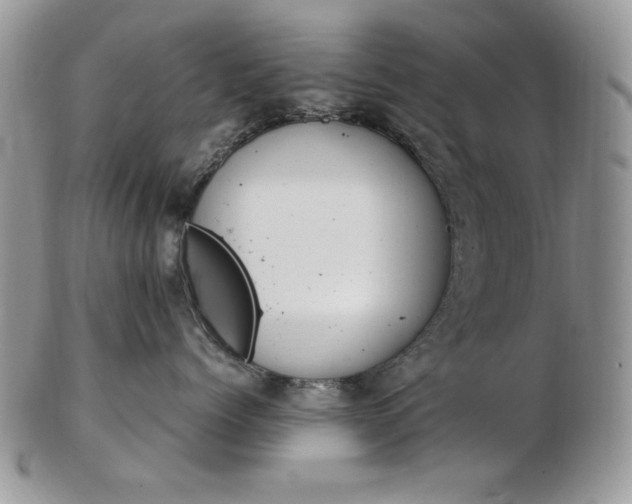 X0000102820768200808251111