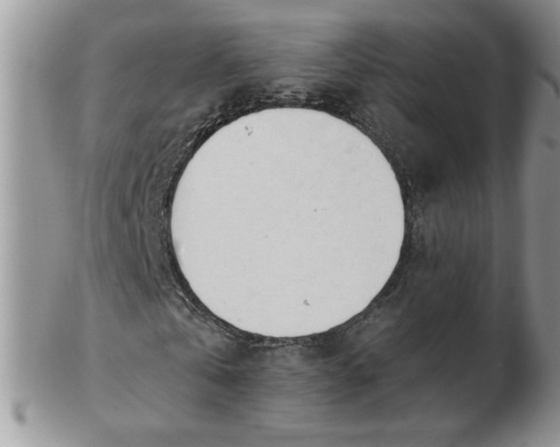 X0000102820769200808251110
