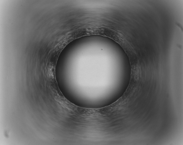 X0000102820770200808251110