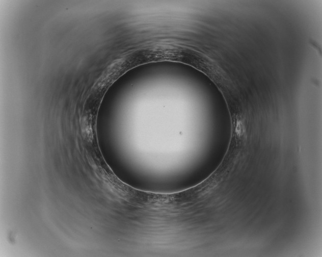 X0000102820771200808251110