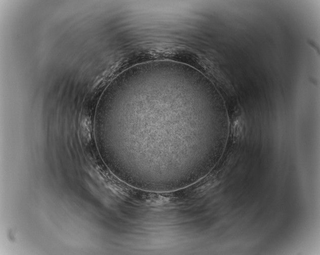 X0000102820772200808251110