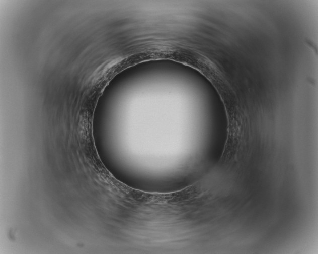 X0000102820773200808251110
