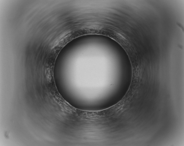 X0000102820774200808251110