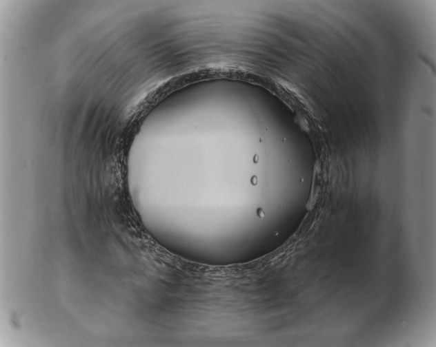 X0000102820776200808251110