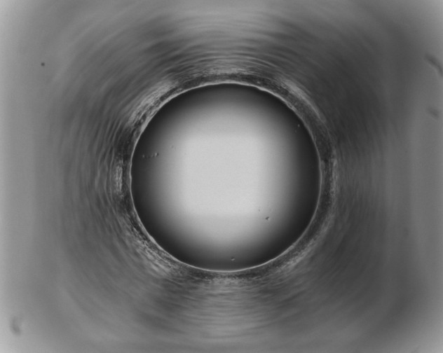 X0000102820777200808251110