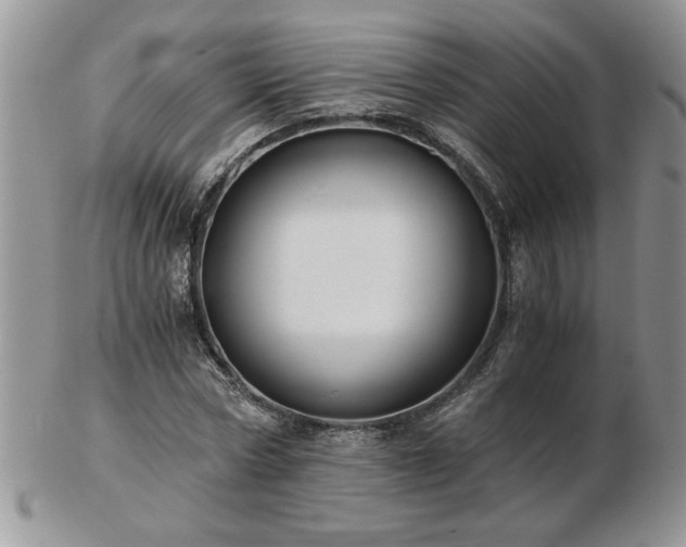 X0000102820778200808251110