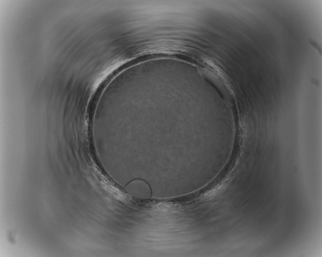X0000102820779200808251110