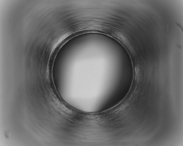 X0000102820780200808251110