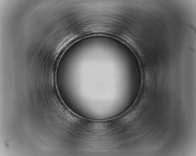 X0000102820782200808251110