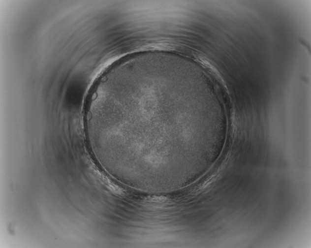 X0000102820784200808251110