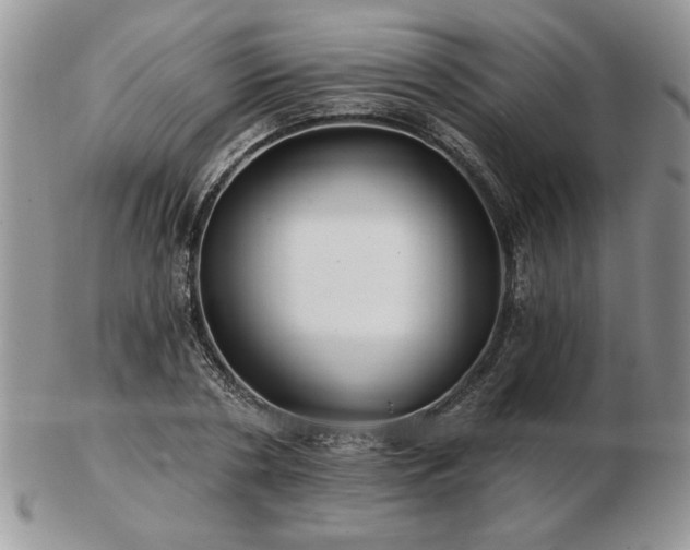 X0000102820786200808251110