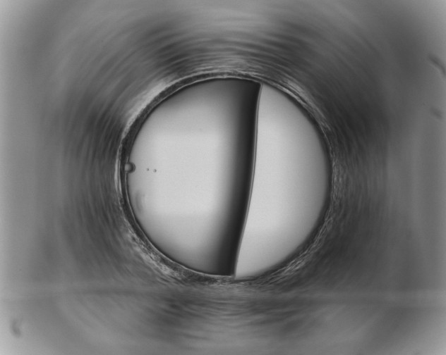 X0000102820788200808251110