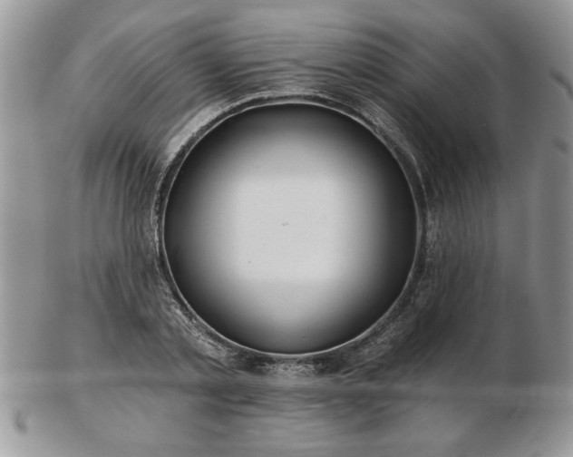 X0000102820789200808251109